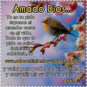 Meet your Posher, Daisy